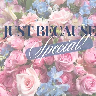 Just Because Special