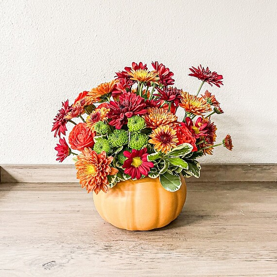 Pumpkin Mums