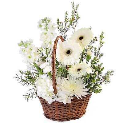 Pristine White Basket