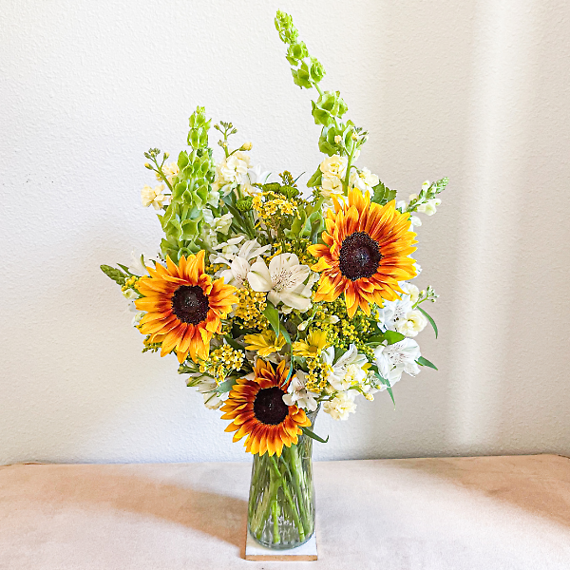 Sunflower Fields